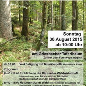 Bärnzeller Waldfest am Griesbacher Taferlbaum